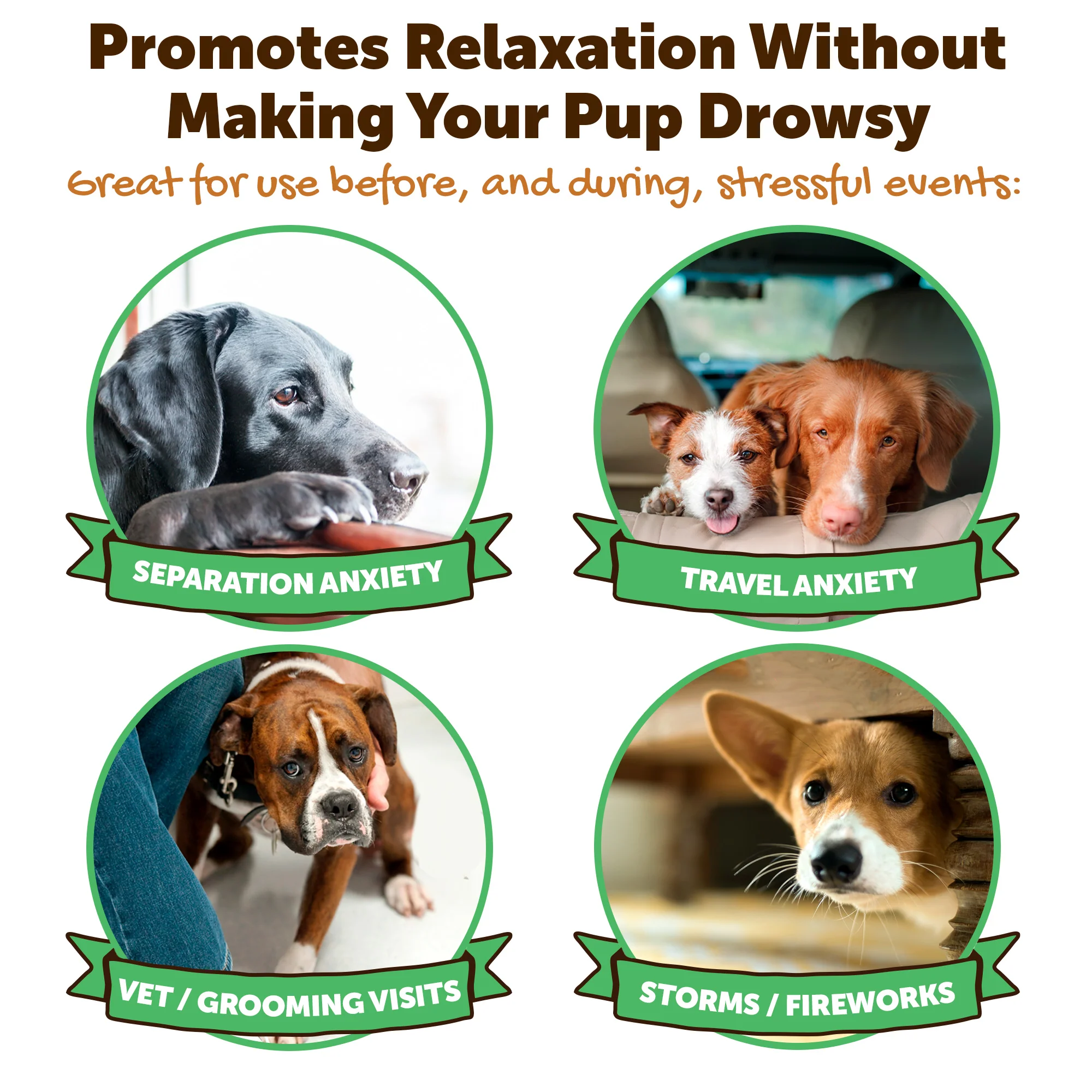 Calming Peanut Butter for Dogs (8.46oz) - Image 5