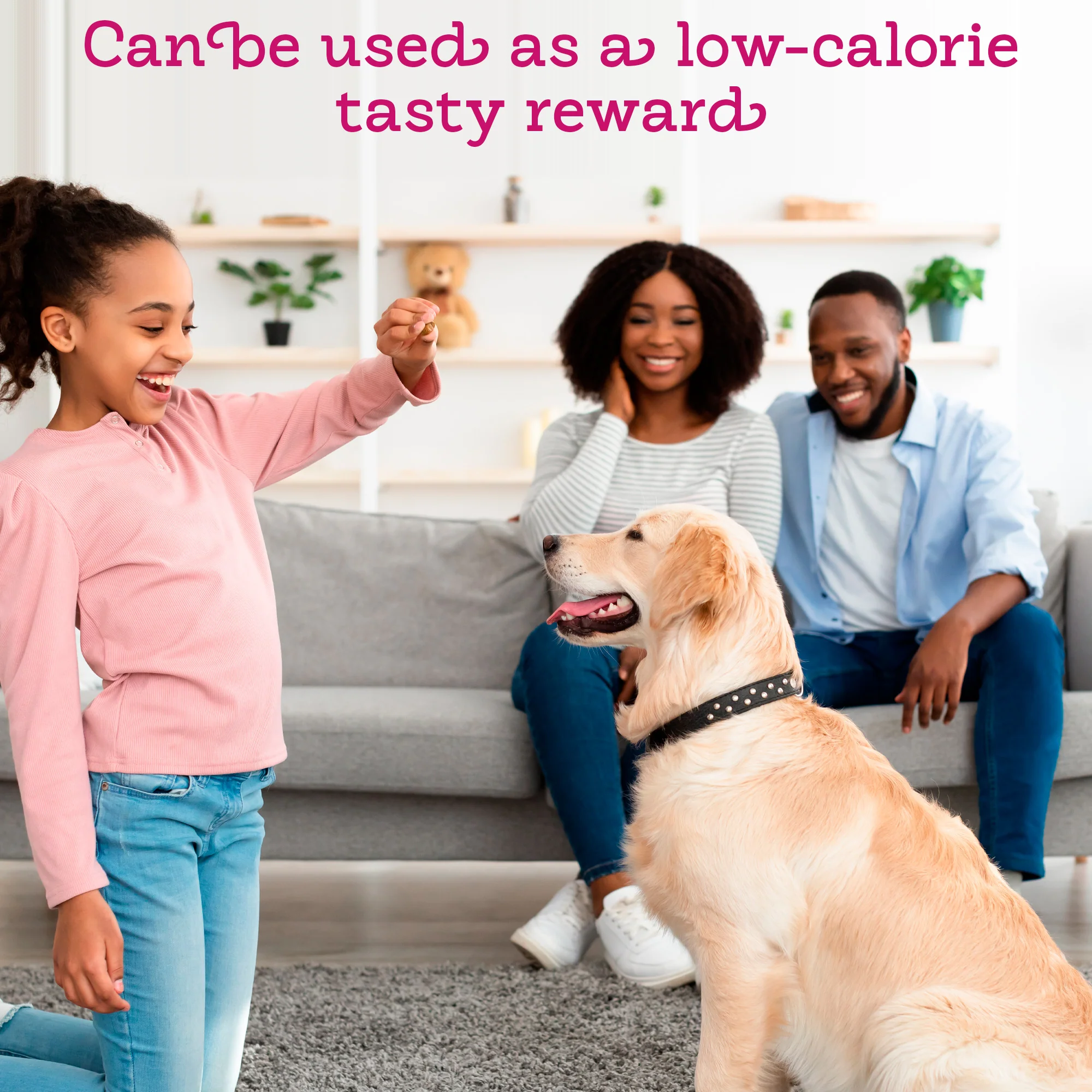 Cheese & Bacon Flavored Pill Wrap with Probiotics (4.2oz) - Image 5