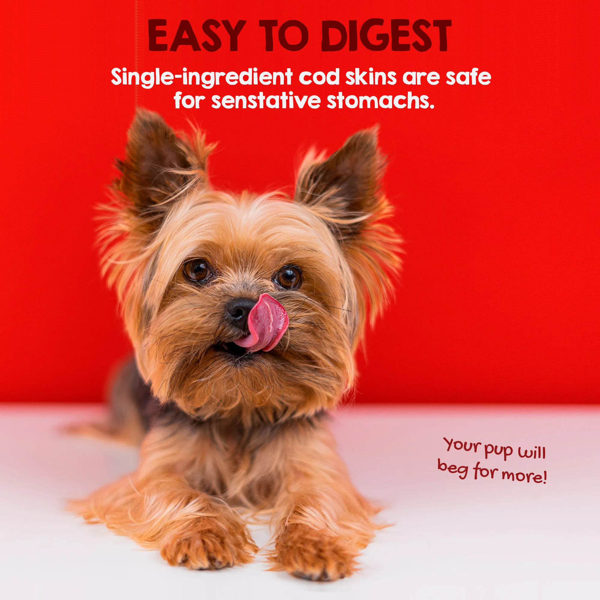 Cod Skins for Dogs (10 inch sticks, Pack of 2) - Image 5