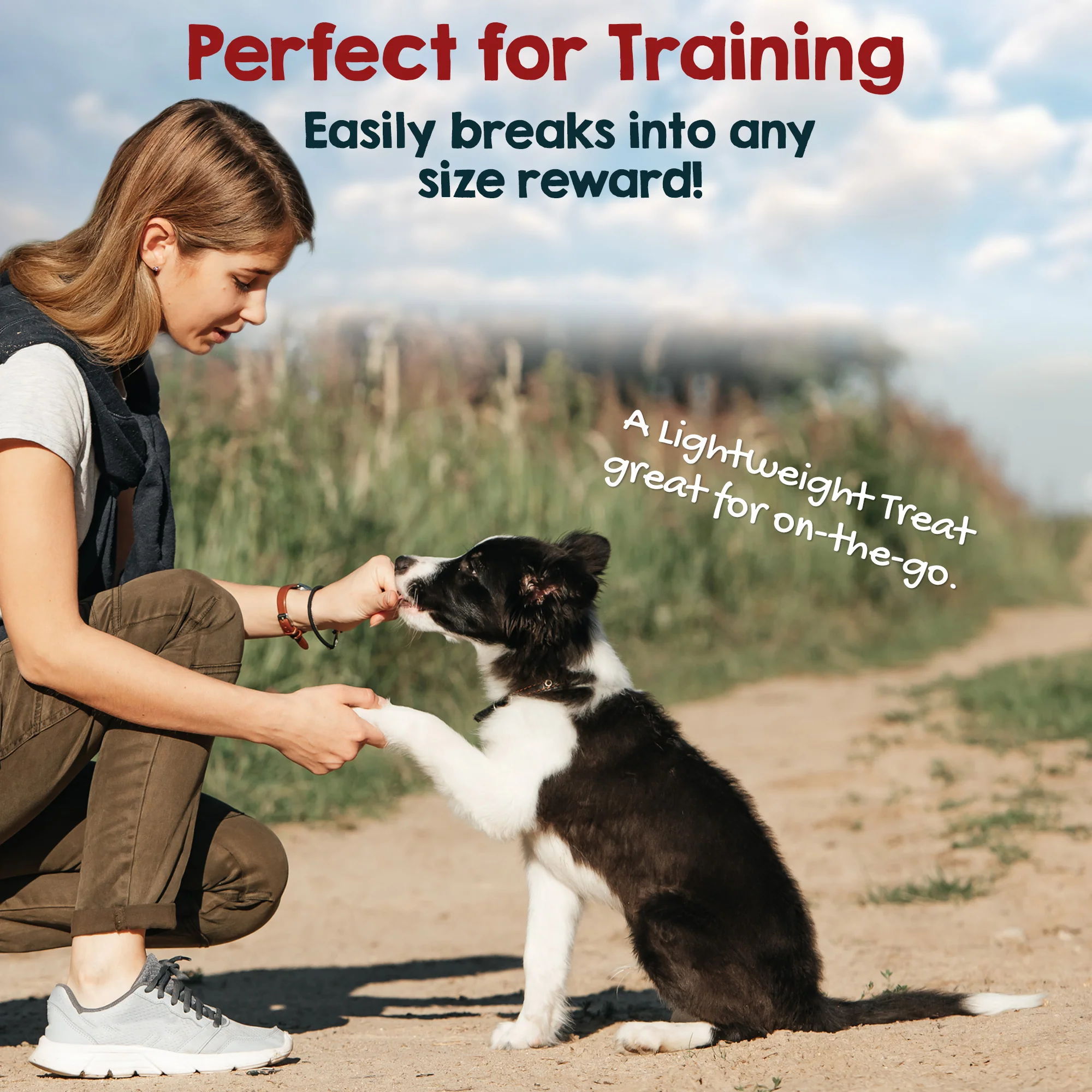 Dehydrated Beef Lung Dog Treat (8oz) - Image 4