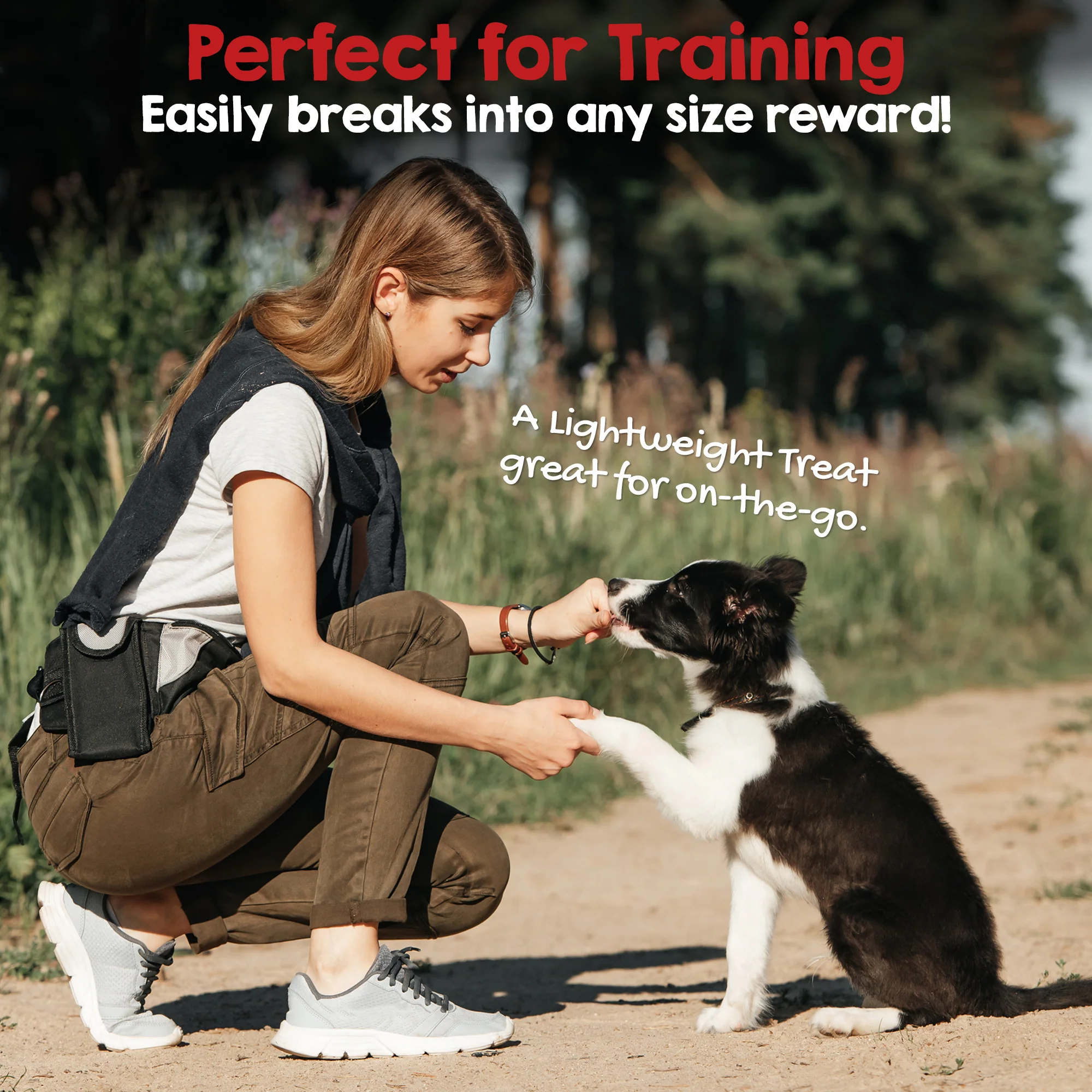 Dehydrated Lamb Lung Dog Treat (6oz) - Image 4