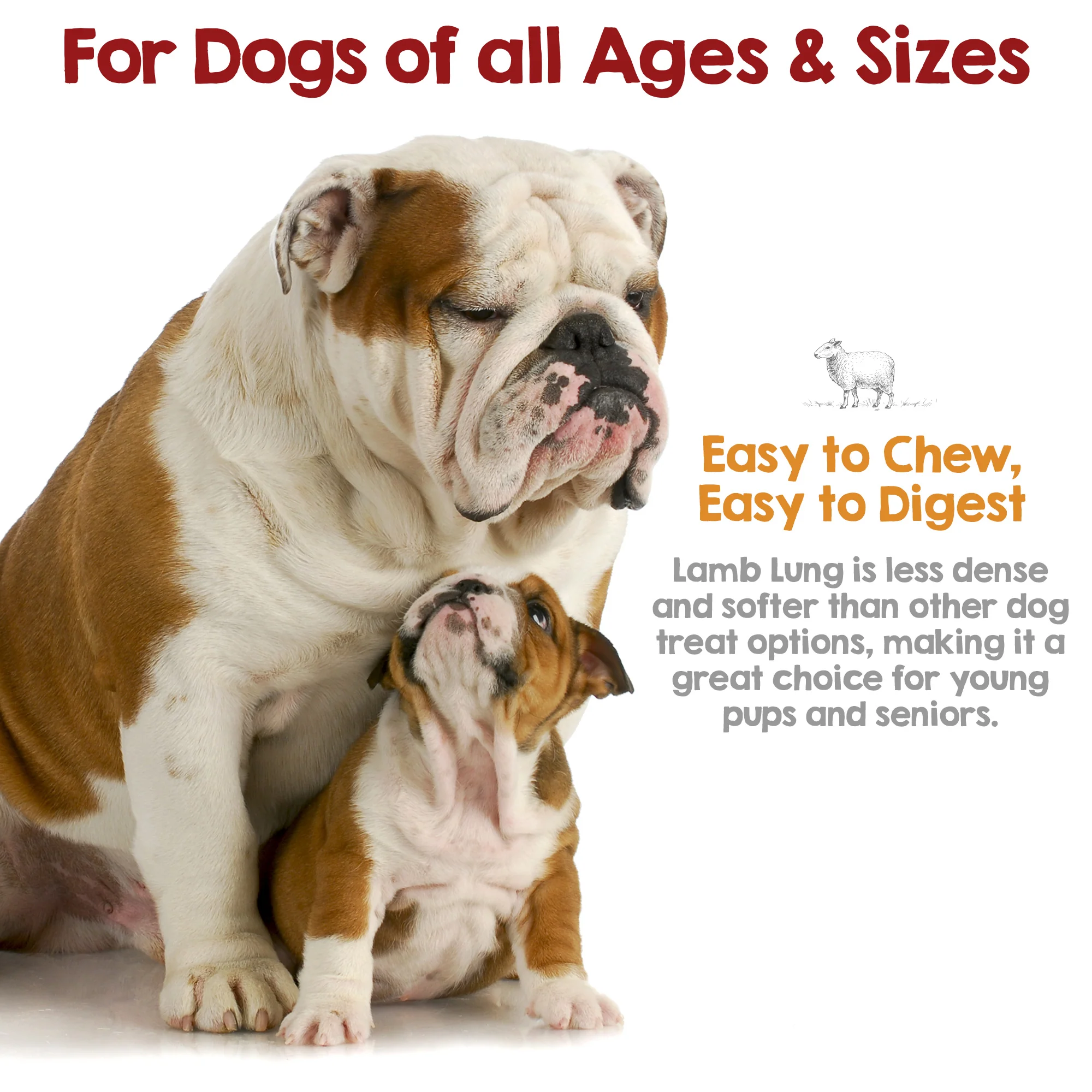 Dehydrated Lamb Lung Dog Treat (6oz) - Image 5