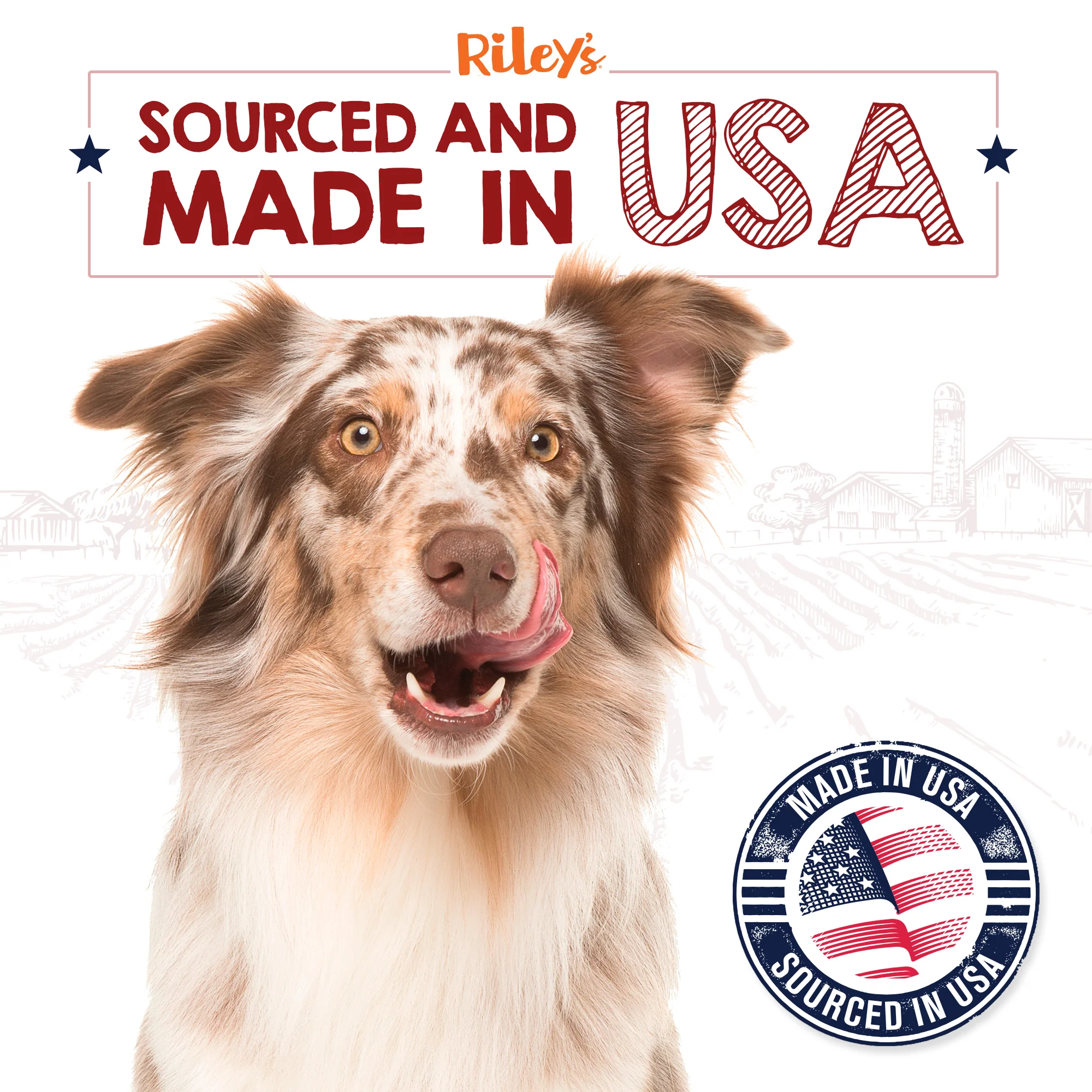 Dehydrated Lamb Lung Dog Treat (6oz) - Image 6