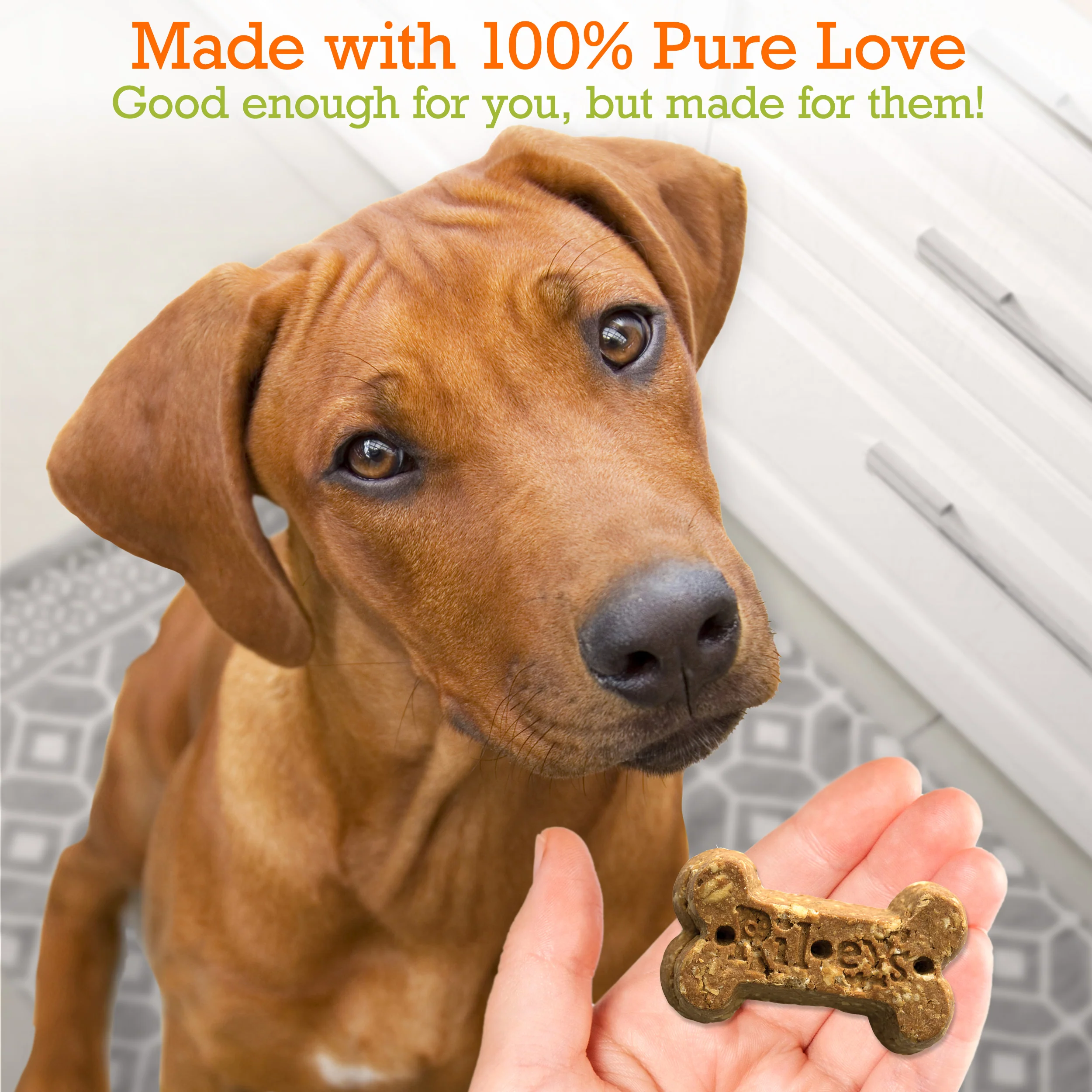 Organic Peanut Butter & Molasses Baked Biscuits - Large Bone (5oz) - Image 3