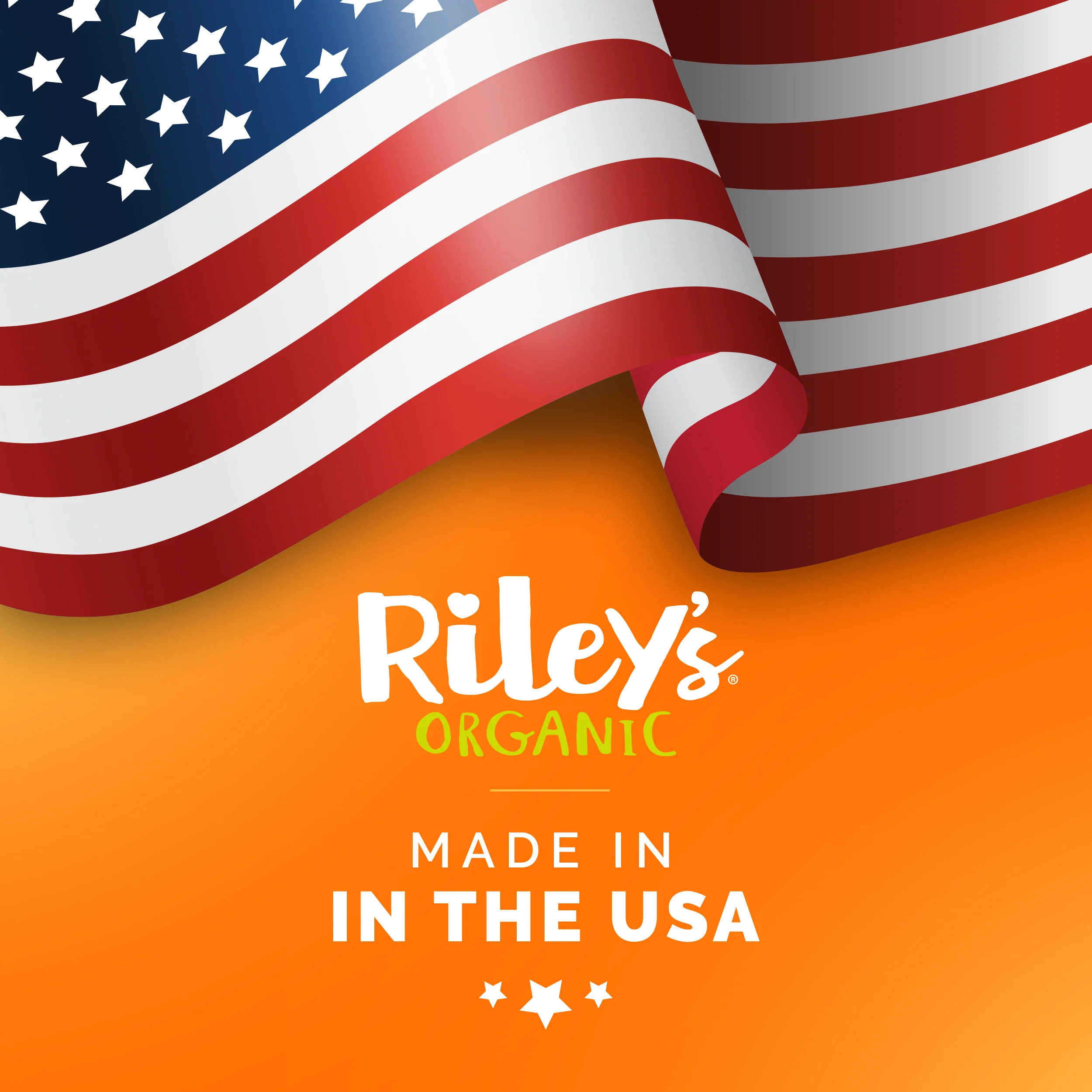 Organic Peanut Butter & Molasses Baked Biscuits - Large Bone (5oz) - Image 6