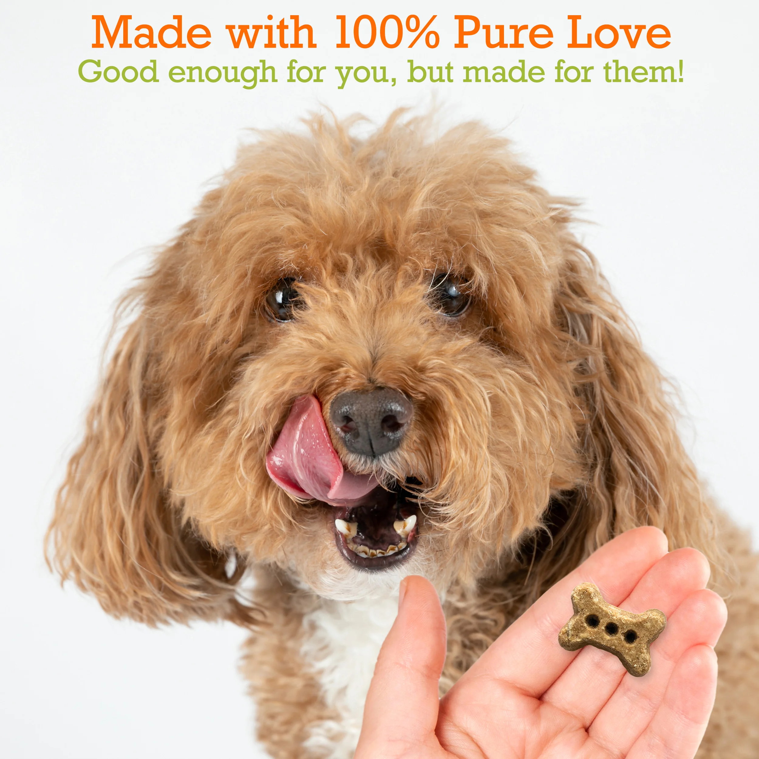 Organic Pumpkin & Coconut Baked Biscuits - Small Bone (5oz) - Image 3