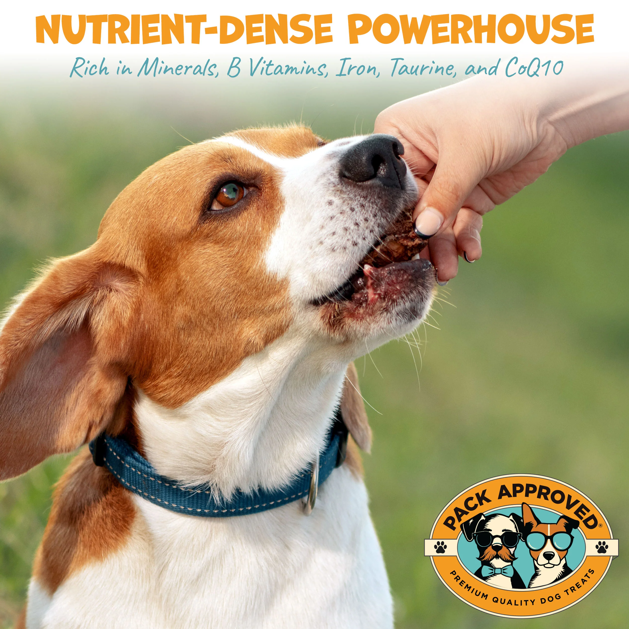 Pack Approved Beef Heart (3.5oz) - Image 4