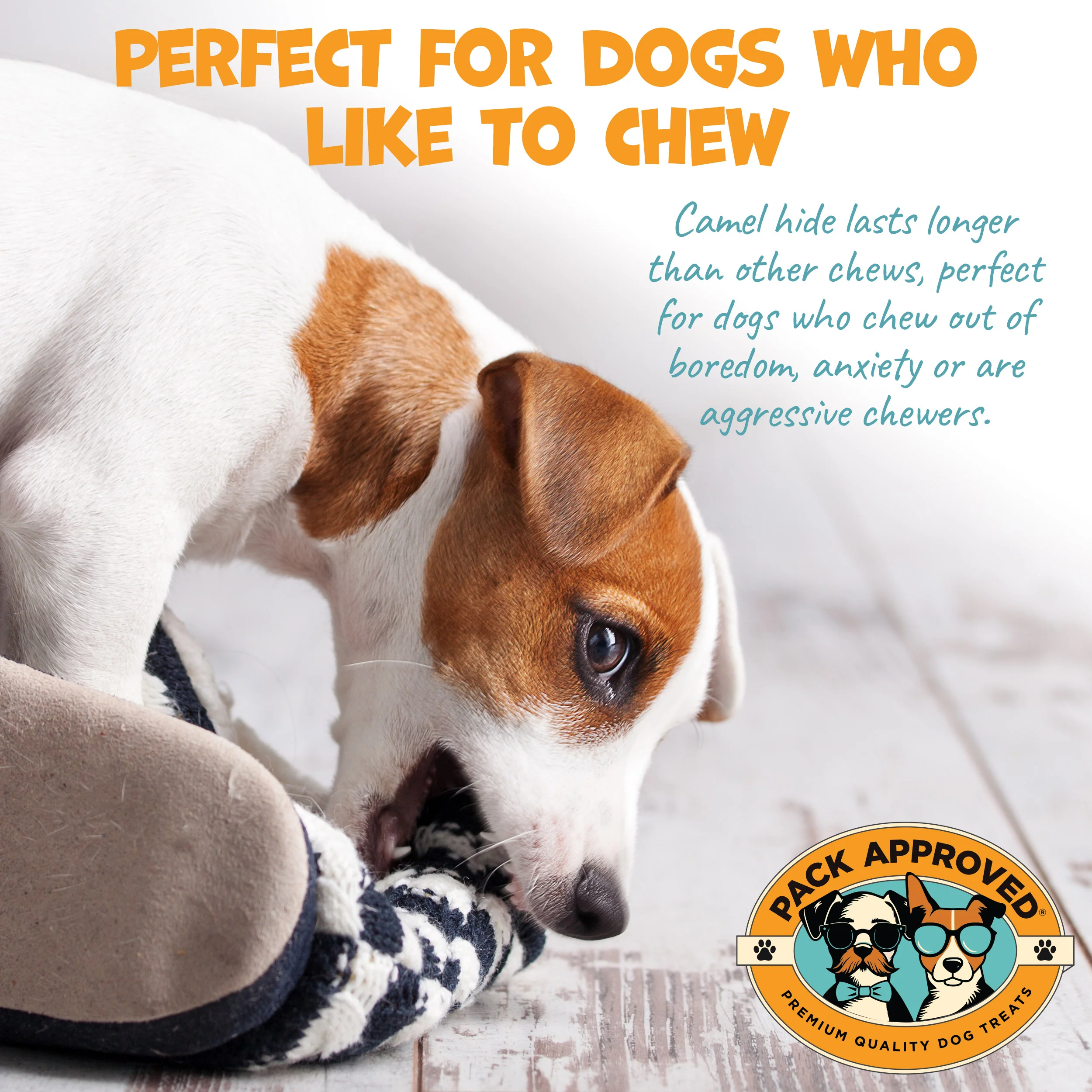 Pack Approved 6" Braided Camel Sticks (10ct) - Image 3