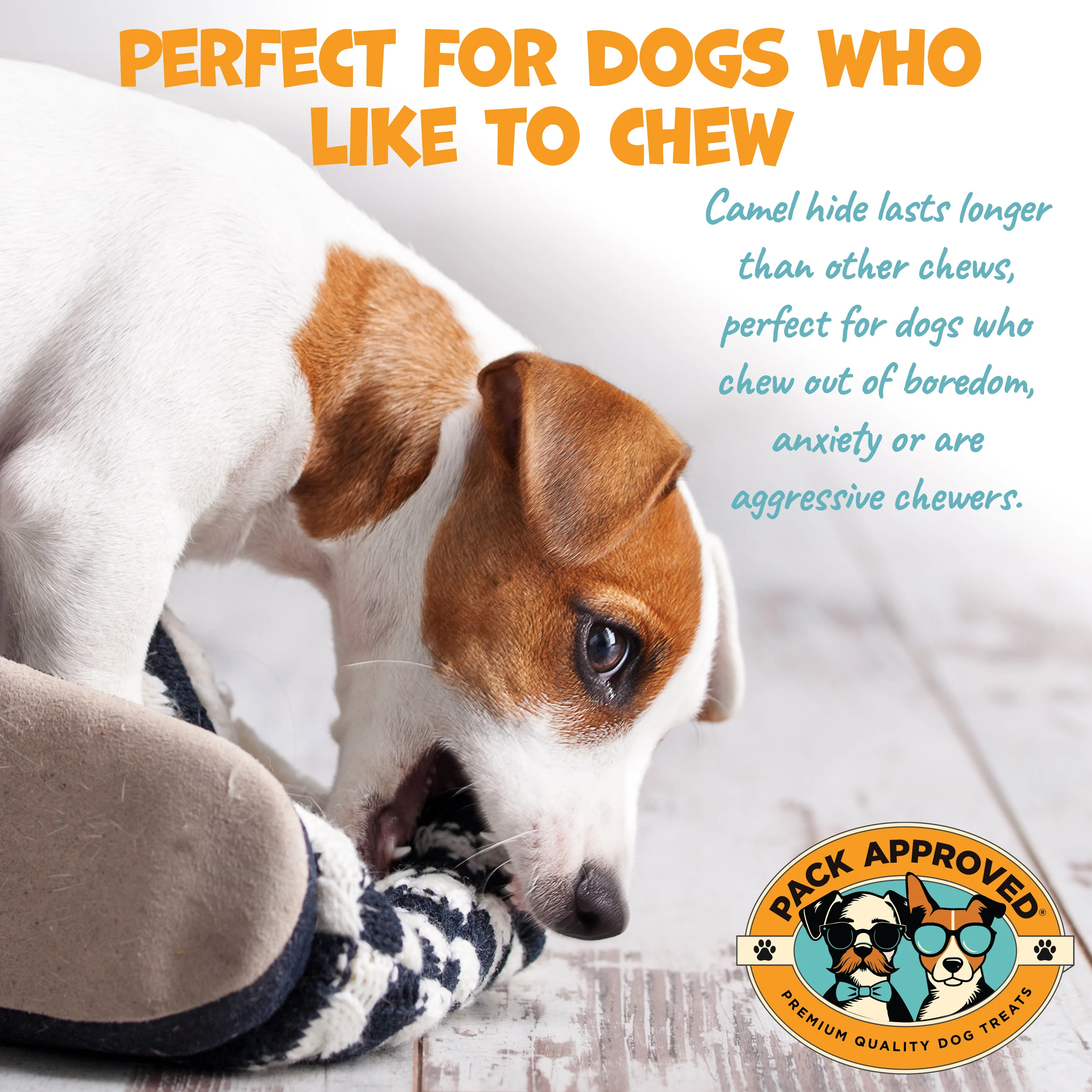 Pack Approved 12" Camel Sticks (3ct) - Image 3