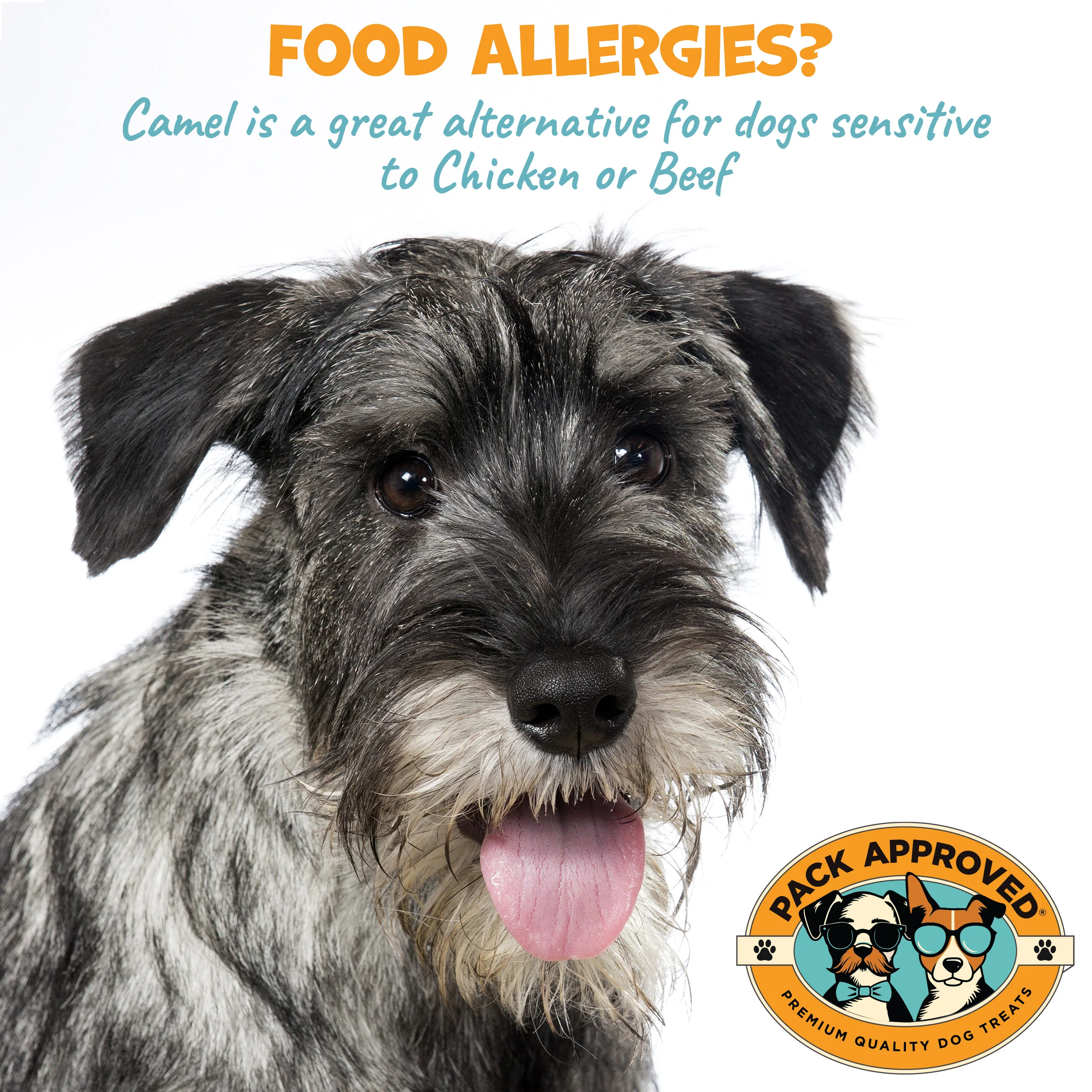 Pack Approved 12" Camel Sticks (3ct) - Image 4