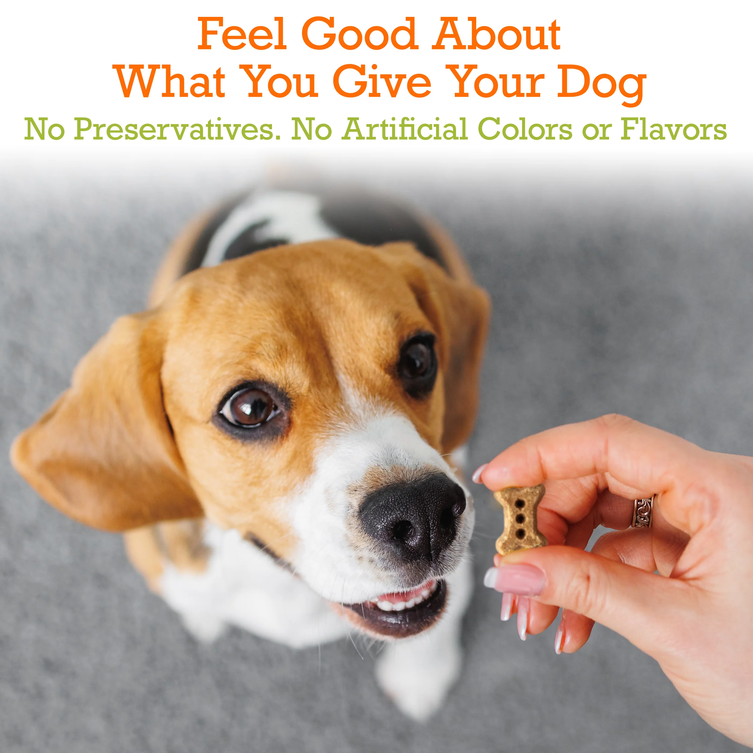 Apple Baked Biscuits Small Bone 12oz - Image 5