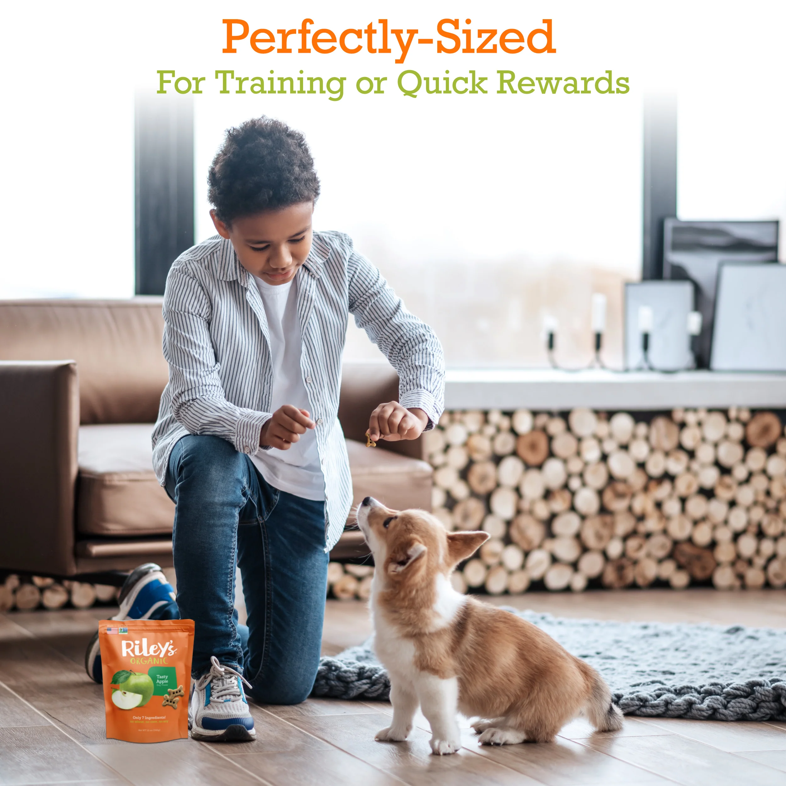 Apple Baked Biscuits Small Bone 12oz - Image 6