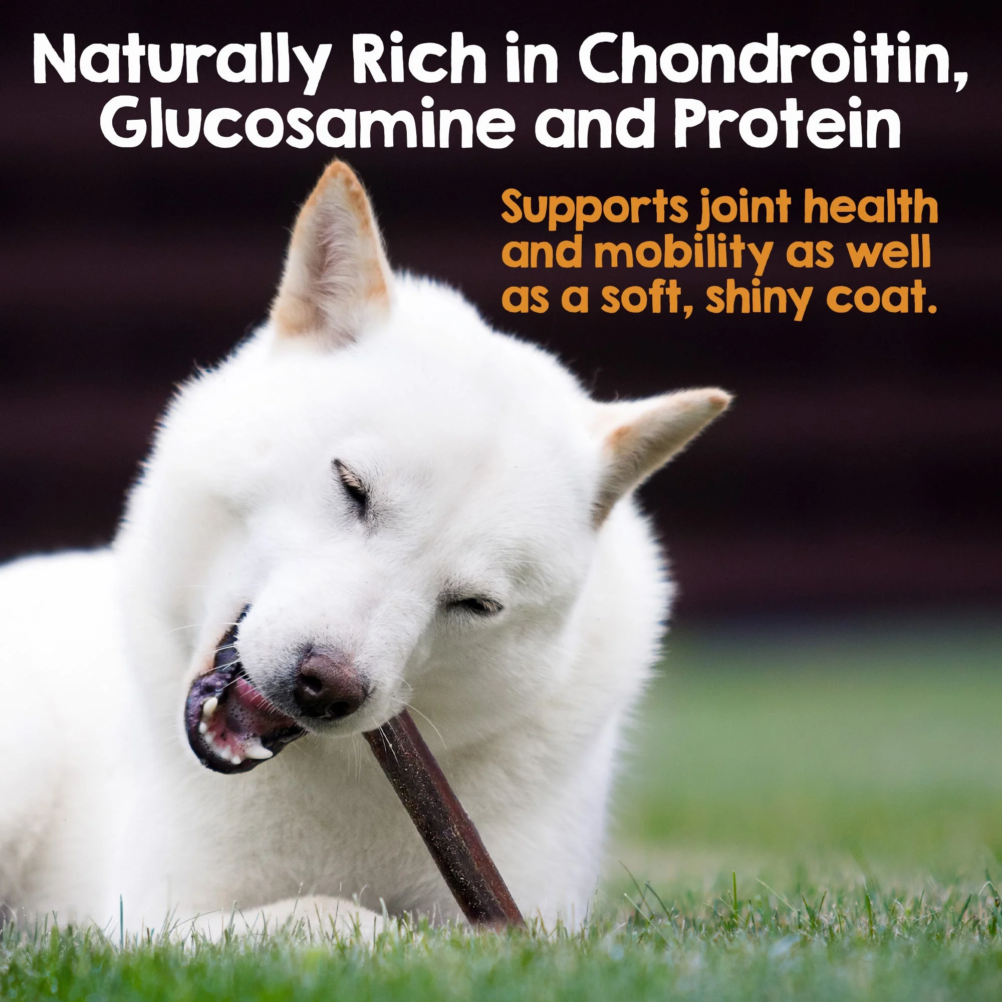 Riley's Originals Beef Collagen 12" Sticks (5 ct) - Image 3