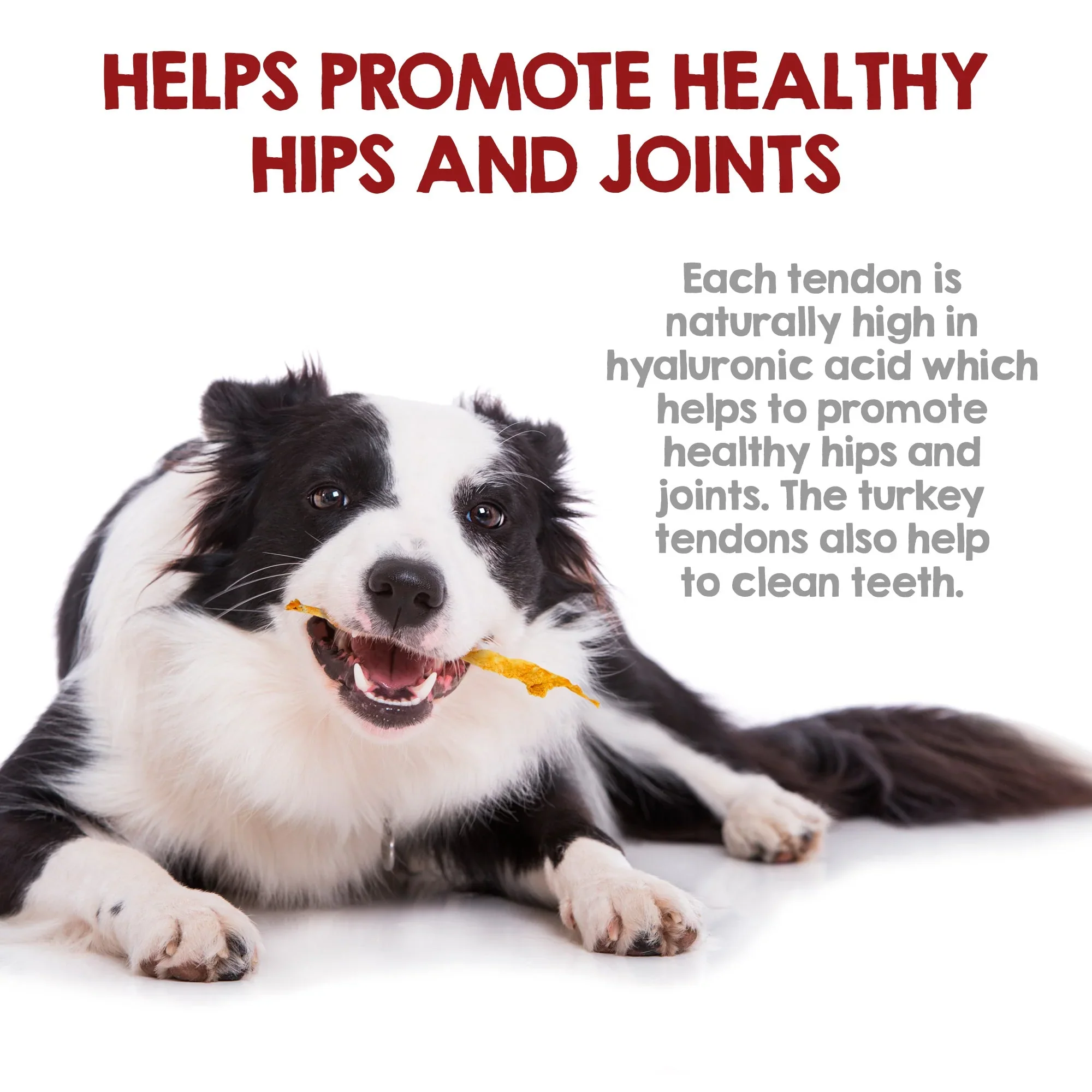 Riley's Originals Turkey Tendons - Image 4