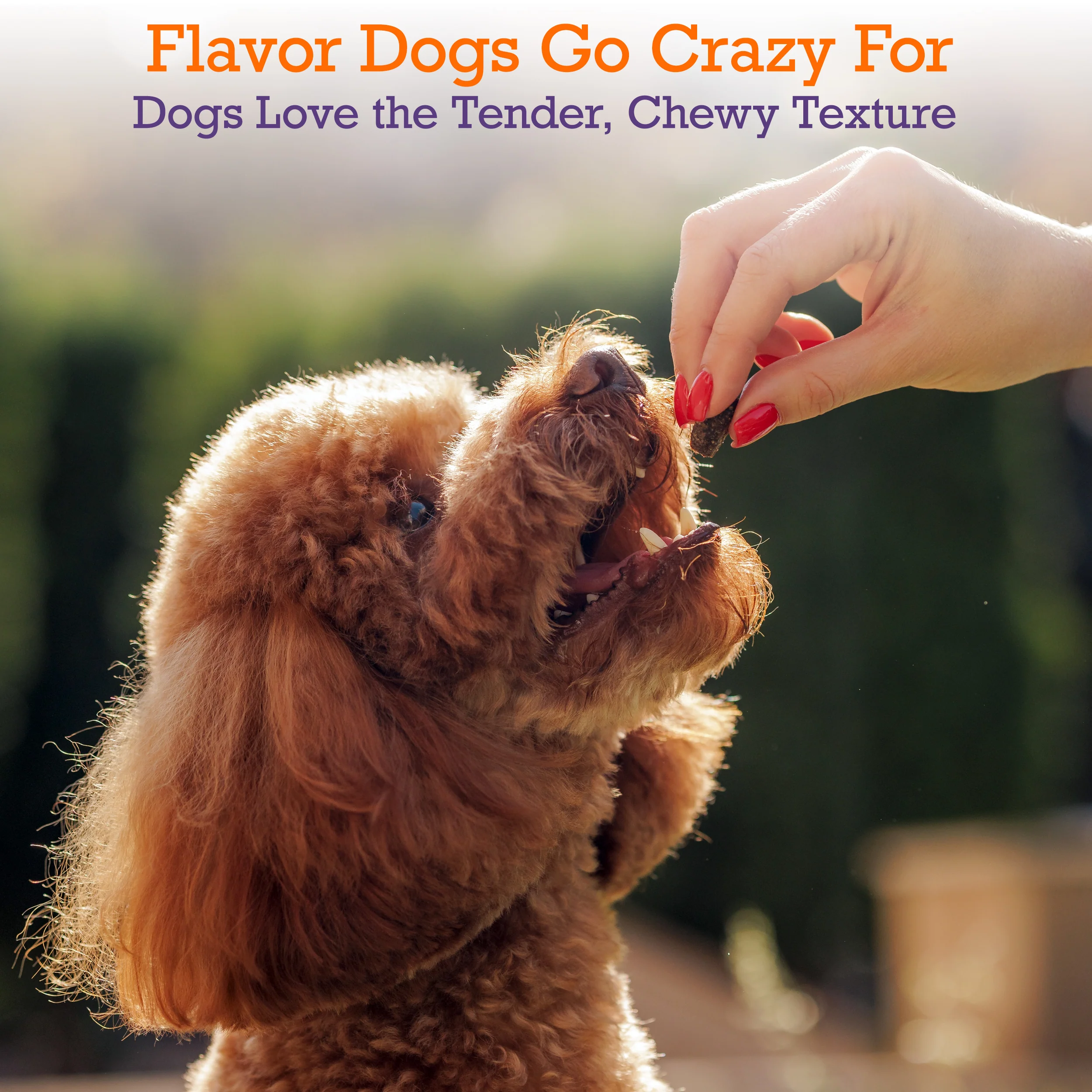 Turkey & Sweet Potato Jerky Rolls (10oz) - Image 5