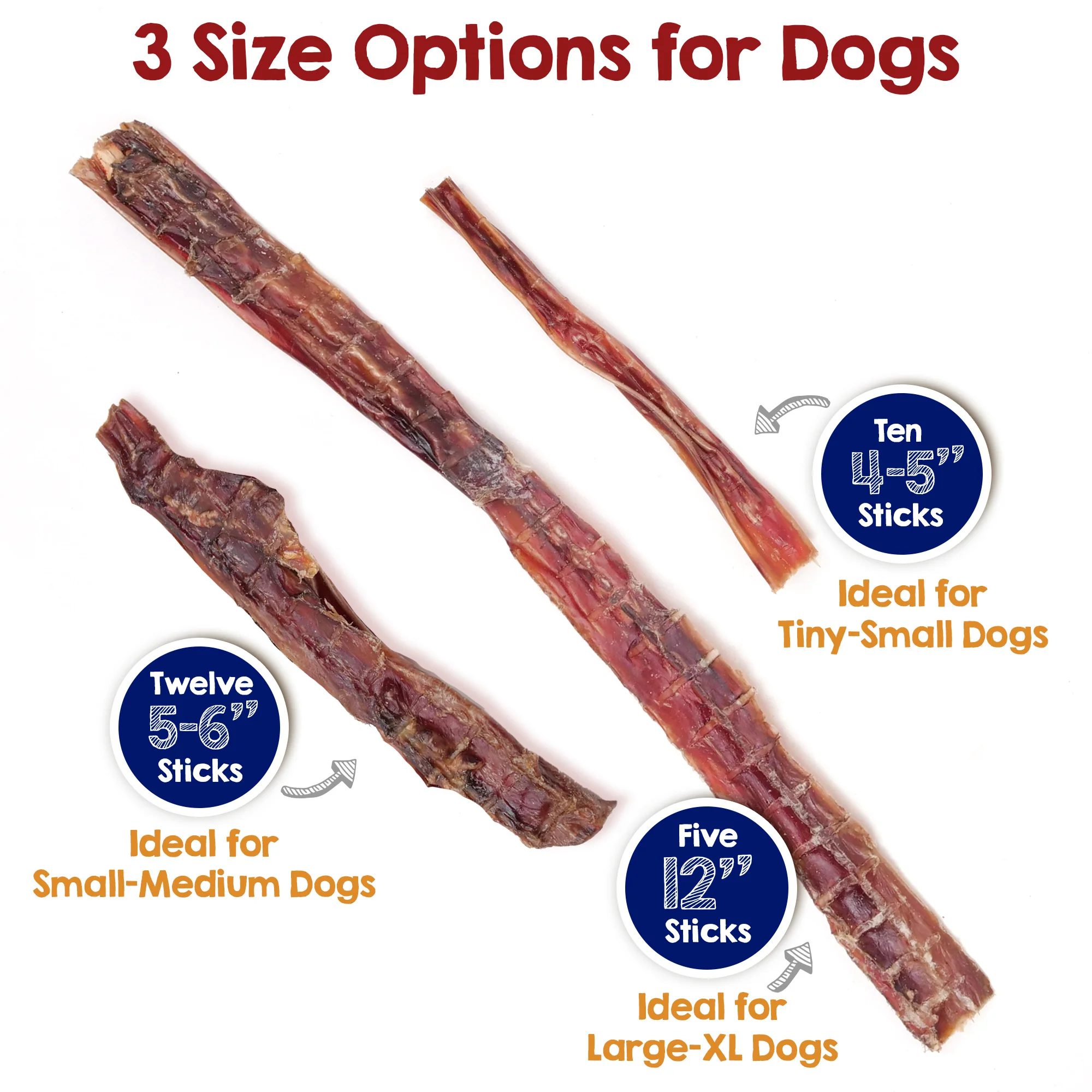 4-6" Steer Bully Sticks for Tiny to Small Dogs (10 ct) - Image 4